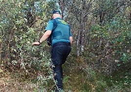 Imagen de la Guardia Civil rastreando el bosque.