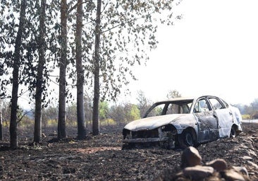Se complica la situación en algunos incendios forestales de León con «un comportamiento explosivo»