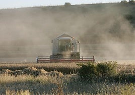 Un agricultor trabaja con su cosechadora en un campo.