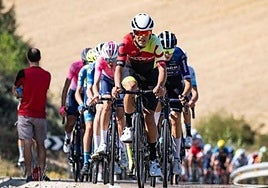 Imagen de 2024 del pelotón de la Vuelta Ciclista Junior a la Ribera del Duero.