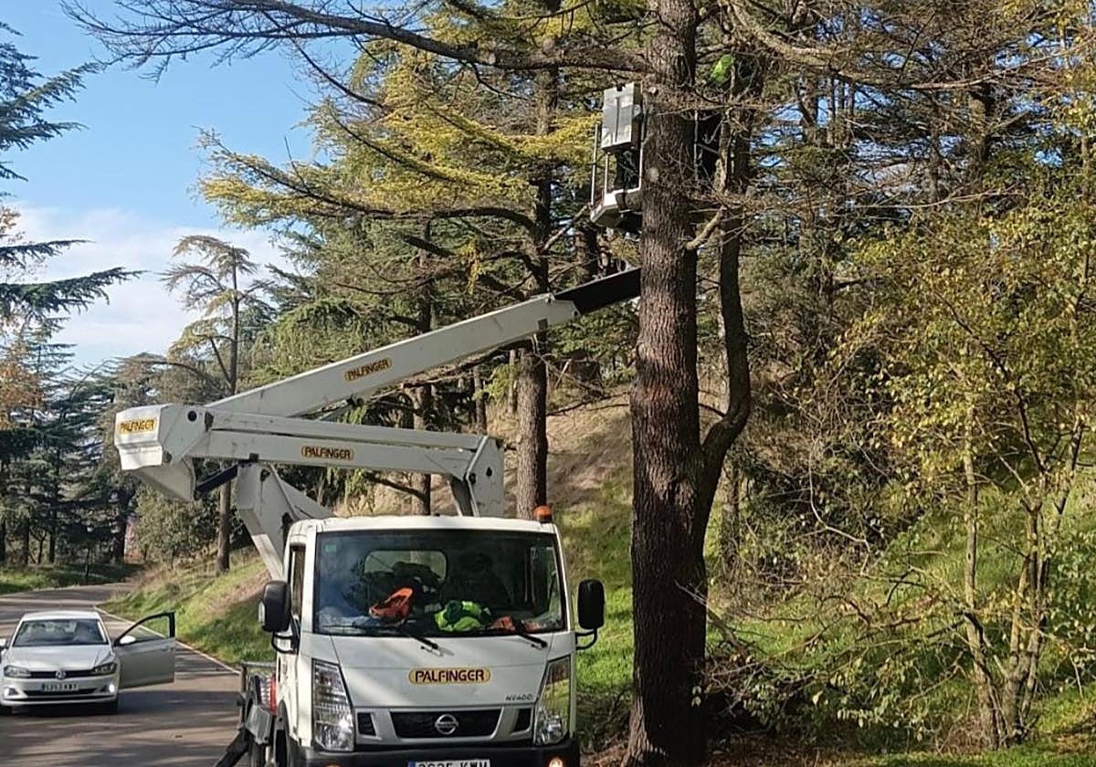 El Ayuntamiento ha realizado mejoras para evitar incendios en el Castillo