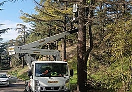 El Ayuntamiento ha realizado mejoras para evitar incendios en el Castillo