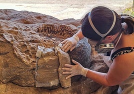 Caterine Arias, restauradora y conservadora del Museo de Dinosaurios de Salas, trabaja en los troncos fósiles.