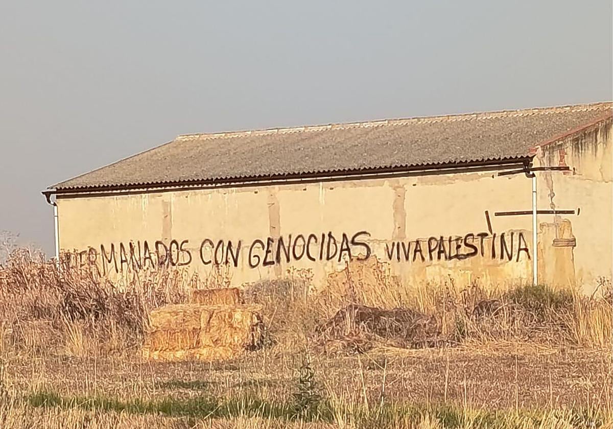Nave vandalizada en Castrillo Mota de Judíos.