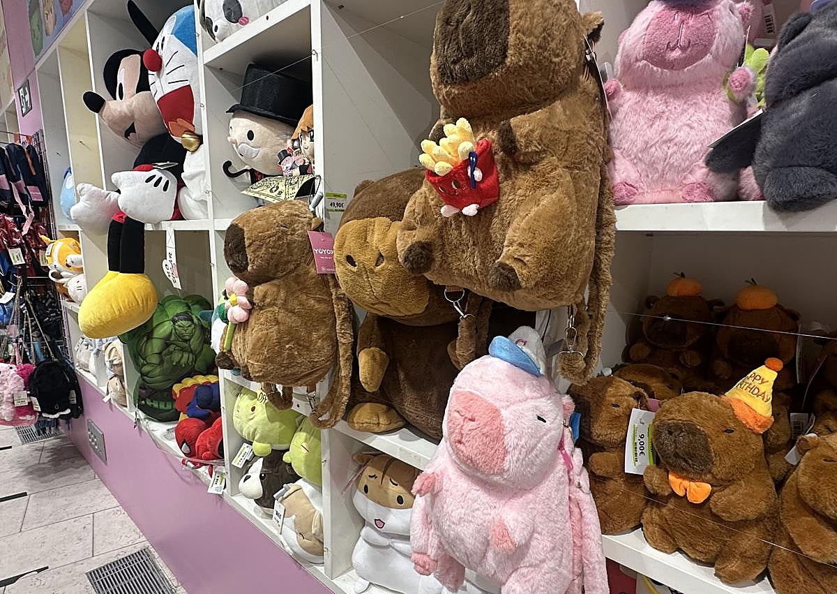 Imagen secundaria 1 - ¡La vuelta al cole más divertida está en Yoyoxi!