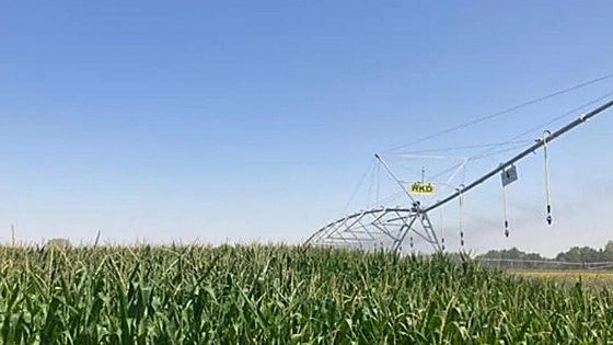 18 millones de euros para un nuevo regadío en Burgos que transformará 850 hectáreas