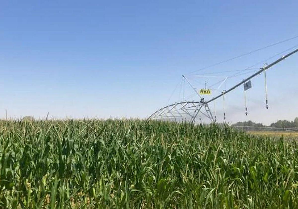 18 millones de euros para un nuevo regadío en Burgos que transformará 850 hectáreas