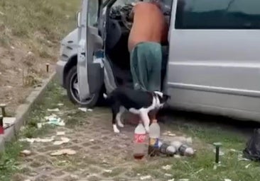 Reclaman ayuda para que se inhabilite a un presunto maltratador de animales que ya fue denunciado en Burgos