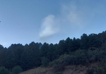 Un conato de incendio en la ladera del Castillo vuelve a poner en alerta a los vecinos de Burgos