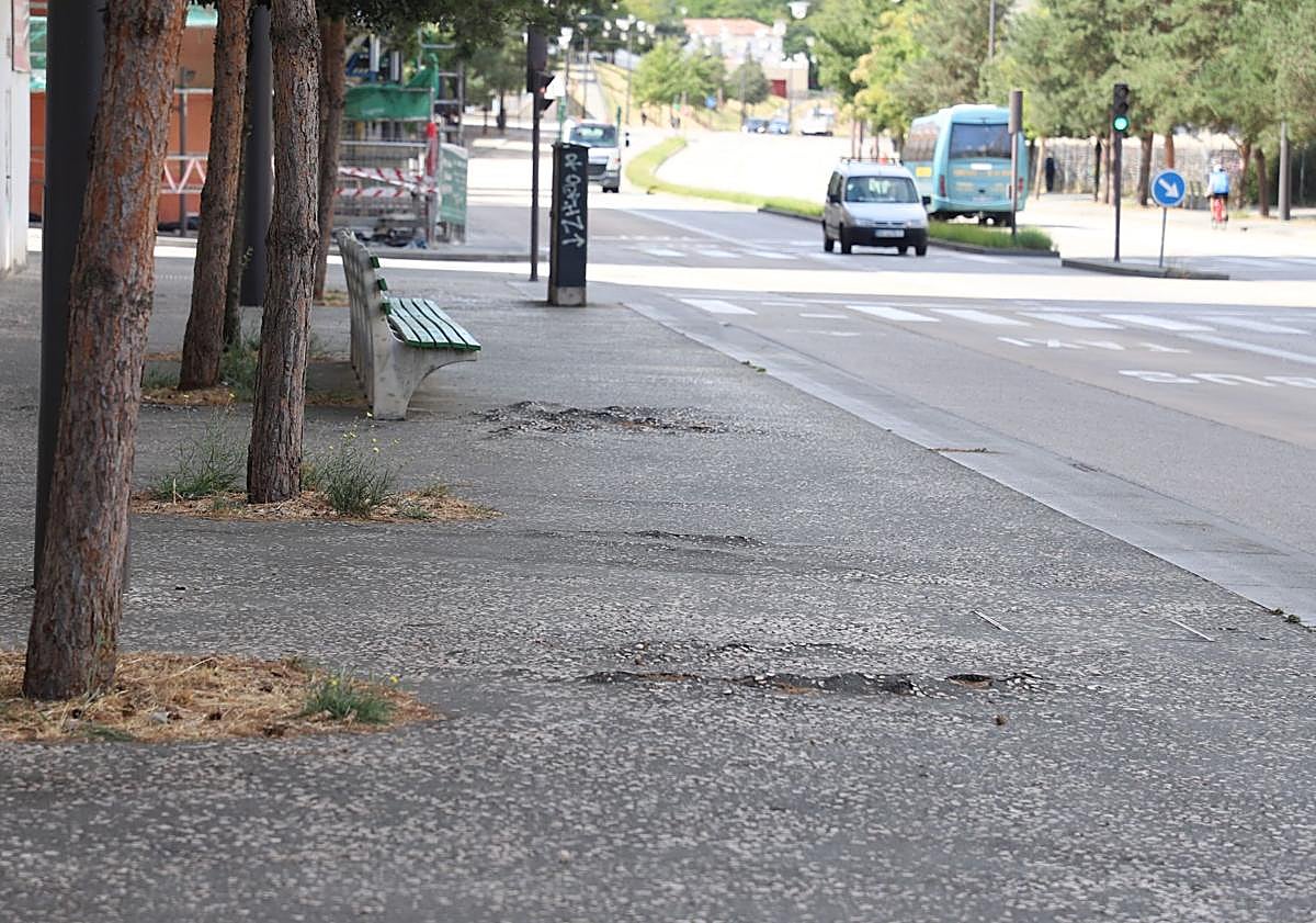 Imagen principal - Estado de las aceras del Bulevar levantadas por las raíces de los árboles. 