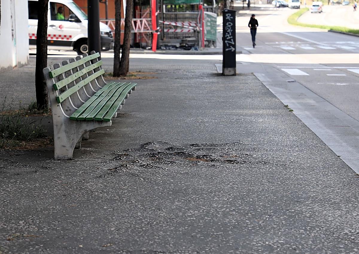 Imagen secundaria 1 - Estado de las aceras del Bulevar levantadas por las raíces de los árboles. 