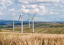 Imagen de archivo de un parque eólico.