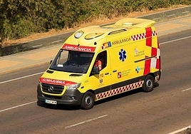 Ambulancia del Sacyl