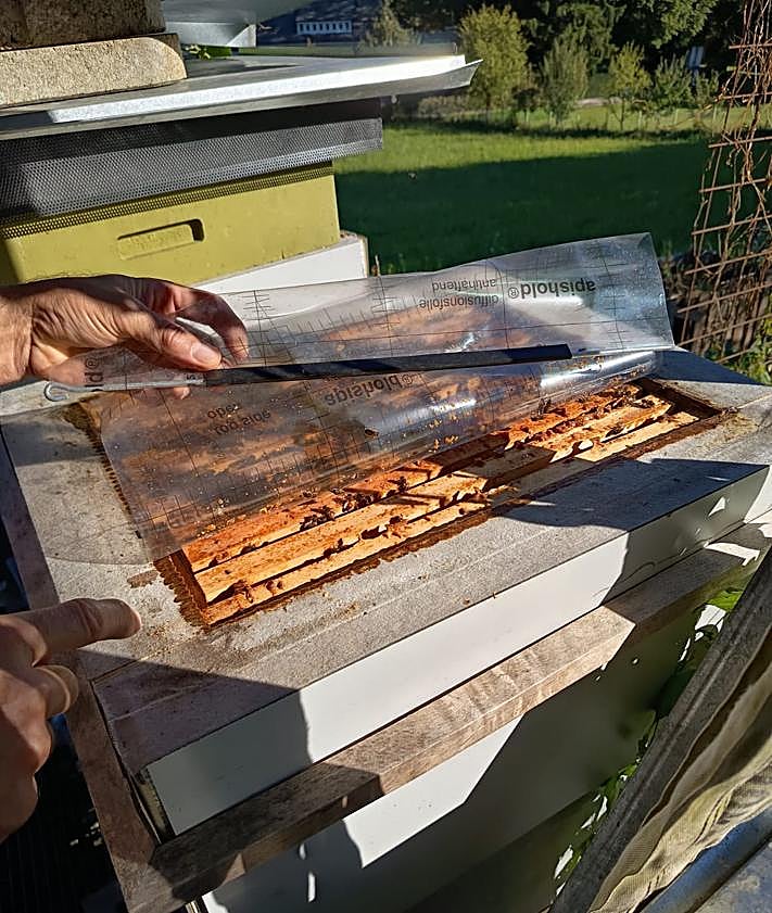 Imagen secundaria 2 - Las colmenas tradicionales de Burgos, un modelo para la innovación apícola en Europa