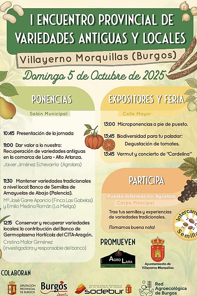 Cartel de la jornada que se celebra en Villayerno Morquillas.