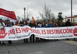Manifestación contra las macrogranjas y las plantas de biogás en Valladolid en marzo de 2025.