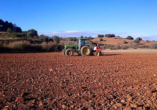Agrolara recupera las semillas para ponerlas a disposición de agricultores de la zona que trabajen en ecológico.