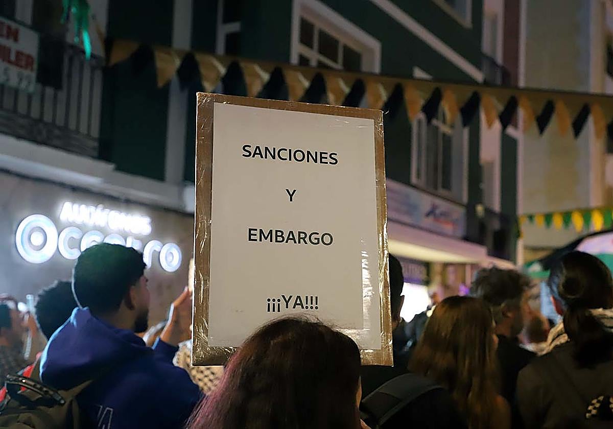 Así ha sido en imágenes la multitudinaria e improvisada manifestación por Gaza en Burgos