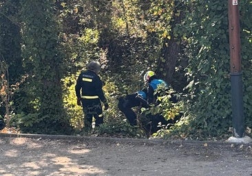 Rescatan a una mujer que se había lanzado al río bajo los efectos del alcohol en Aranda