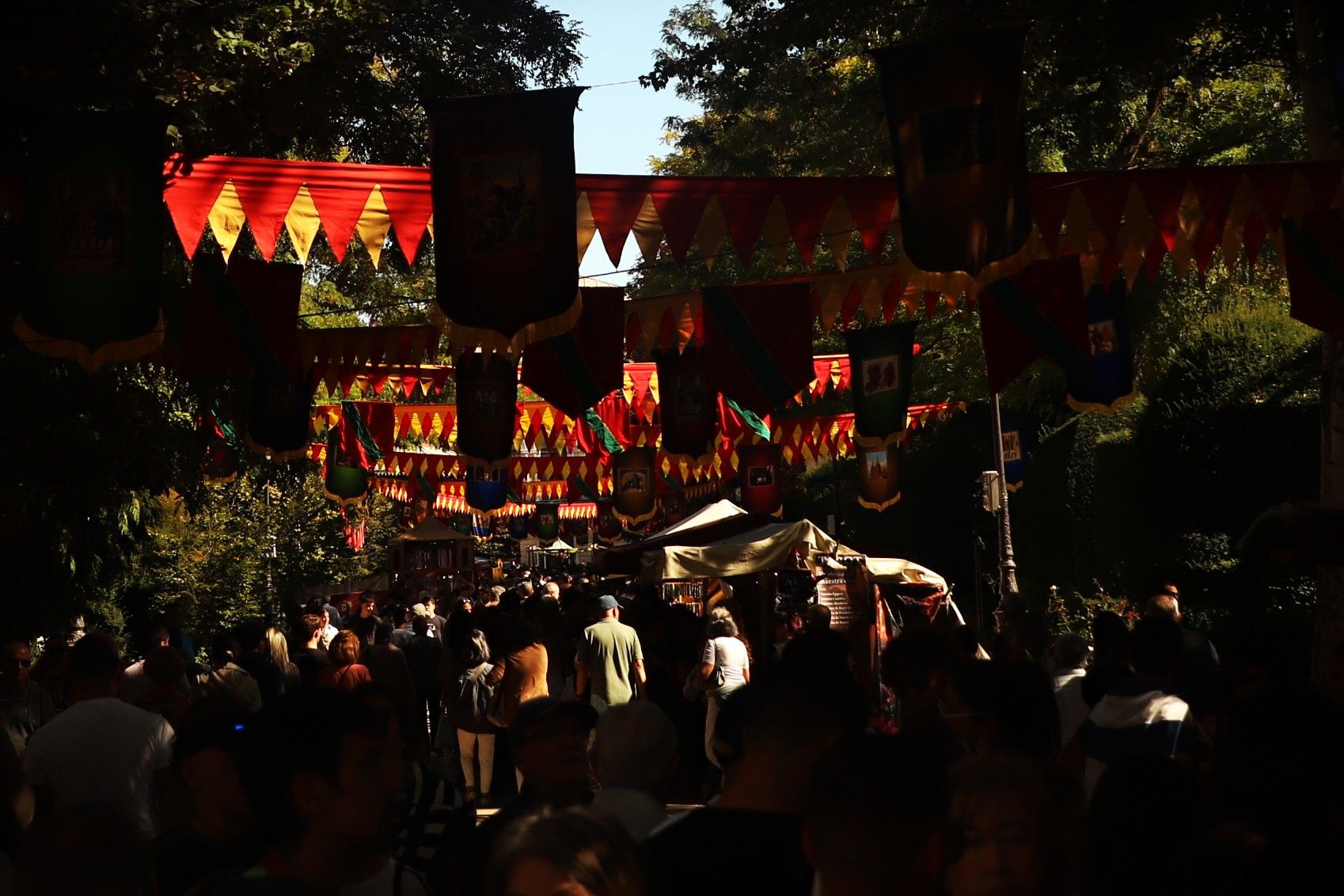 Así se ha vivido en imágenes la jornada medieval Cidiana de Burgos