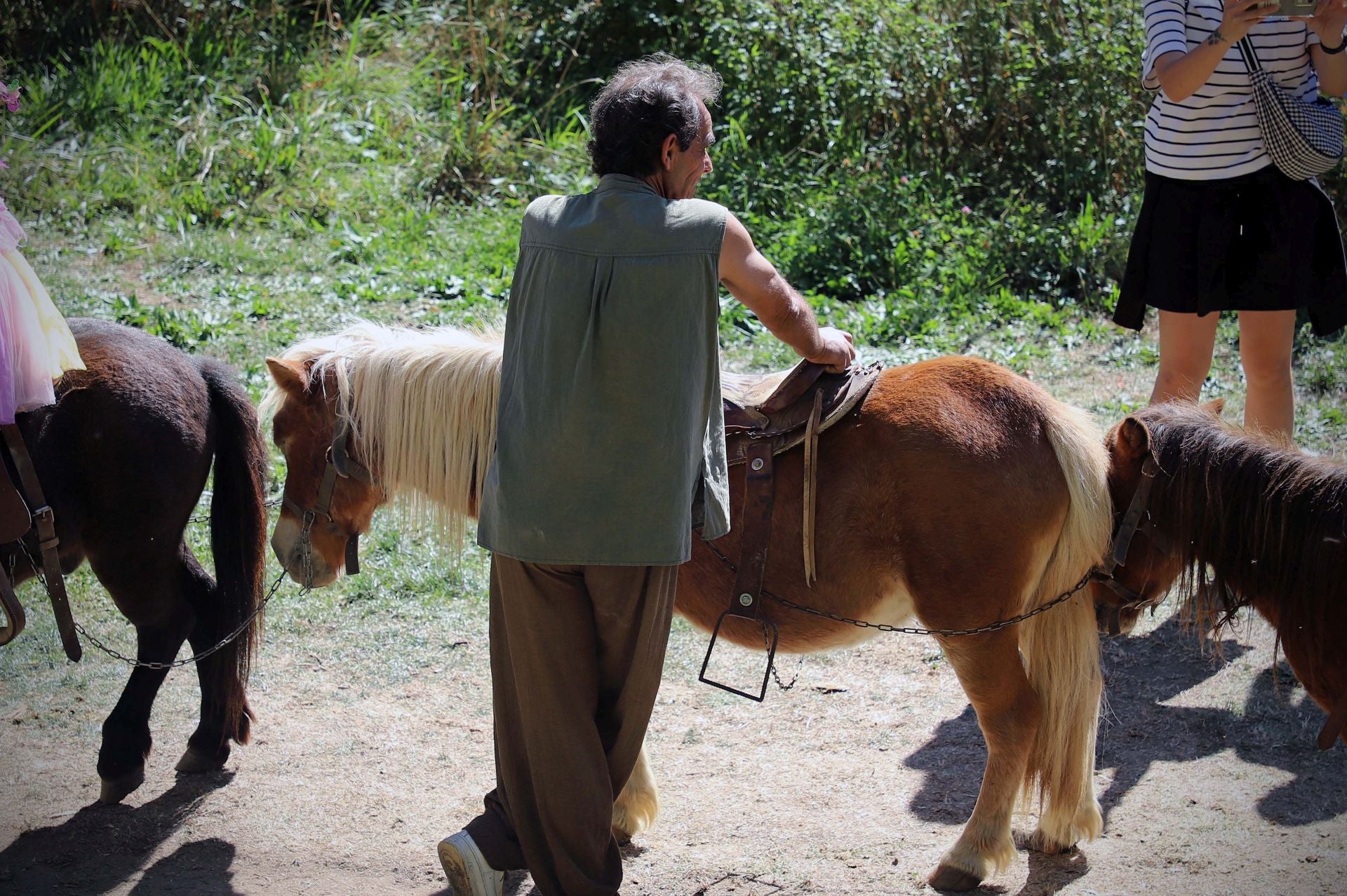 Así se ha vivido en imágenes la jornada medieval Cidiana de Burgos