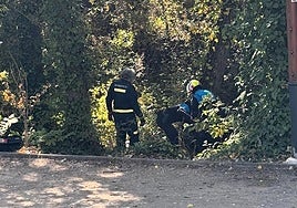 Bomberos y Policía Local trabajan para rescatar a la mujer del río en Aranda..