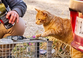 Fotografías premiadas en el concurso.