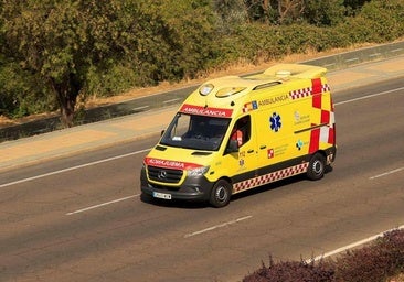 Muere un corredor de la Demandasaurus en Salas de los Infantes