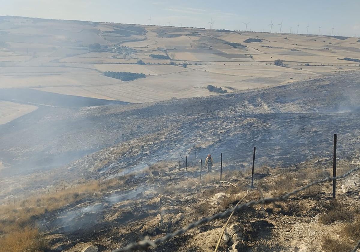Un incendio forestal calcina ocho hectáreas de pino en un pueblo de Burgos