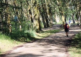 Cinturón Verde de Burgos.