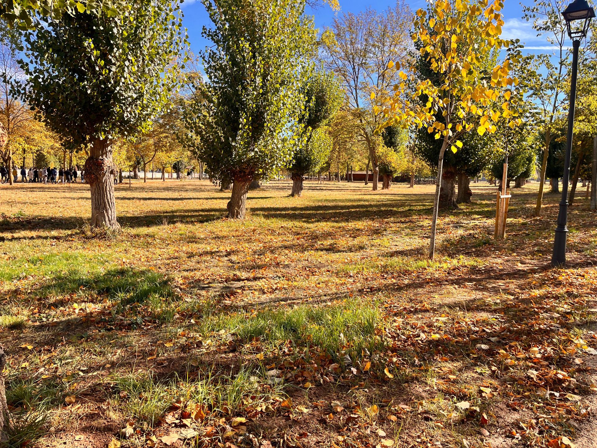Así ha quedado el parque de El Parral en Burgos tras una remodelación de dos millones de euros