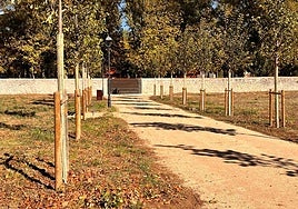 Nuevo aspecto de El Parral de Burgos.