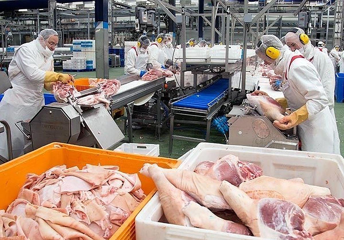 Interior de la planta de Carnes Selectas.