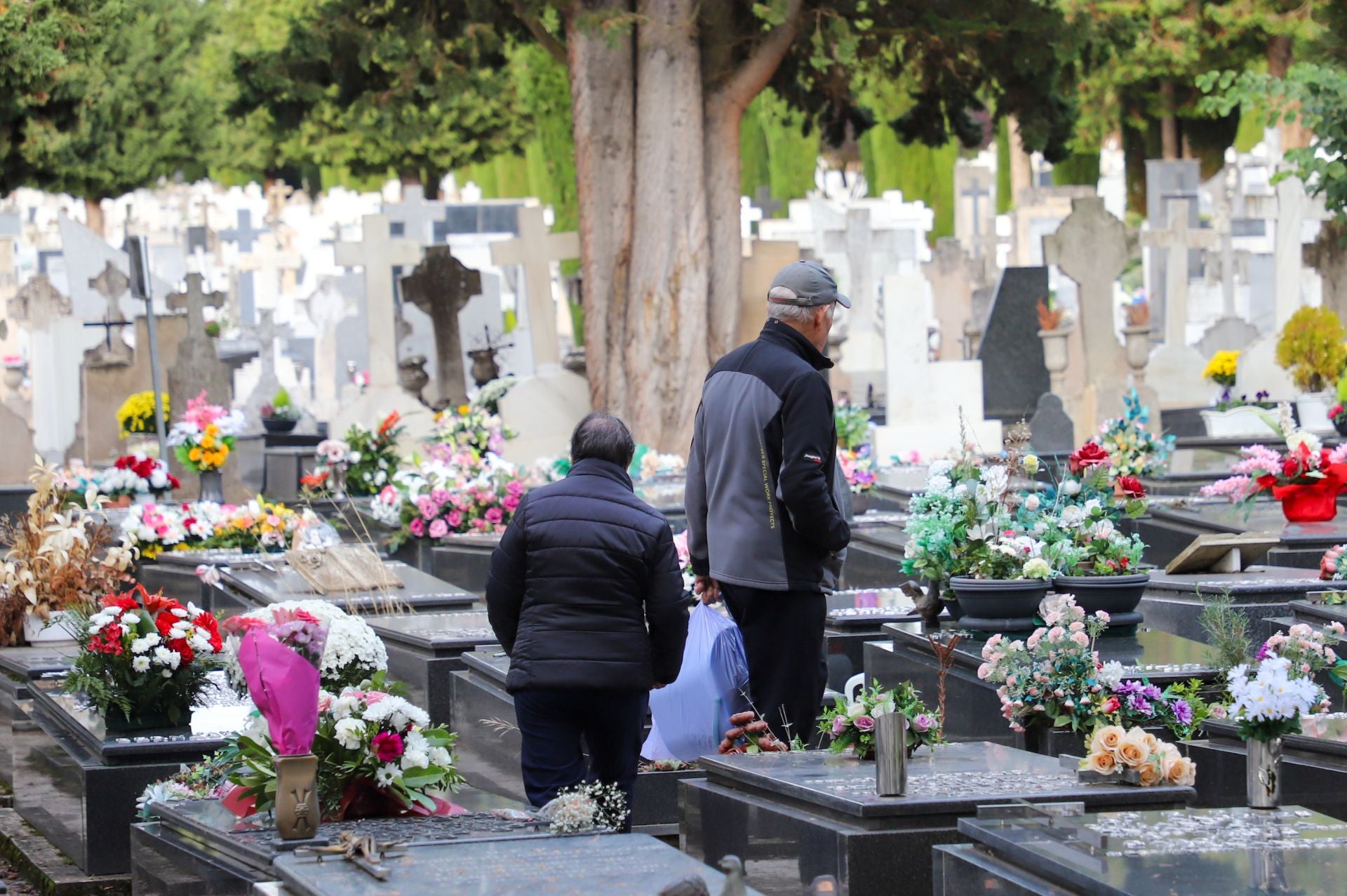 Cementerio de San José: 118 años de historia en Burgos