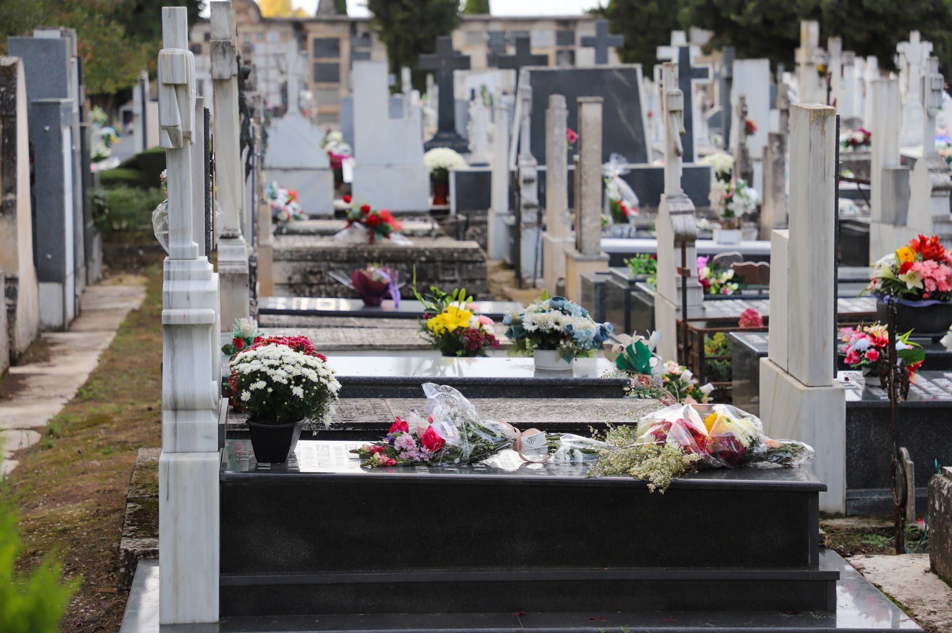 Cementerio de San José: 118 años de historia en Burgos
