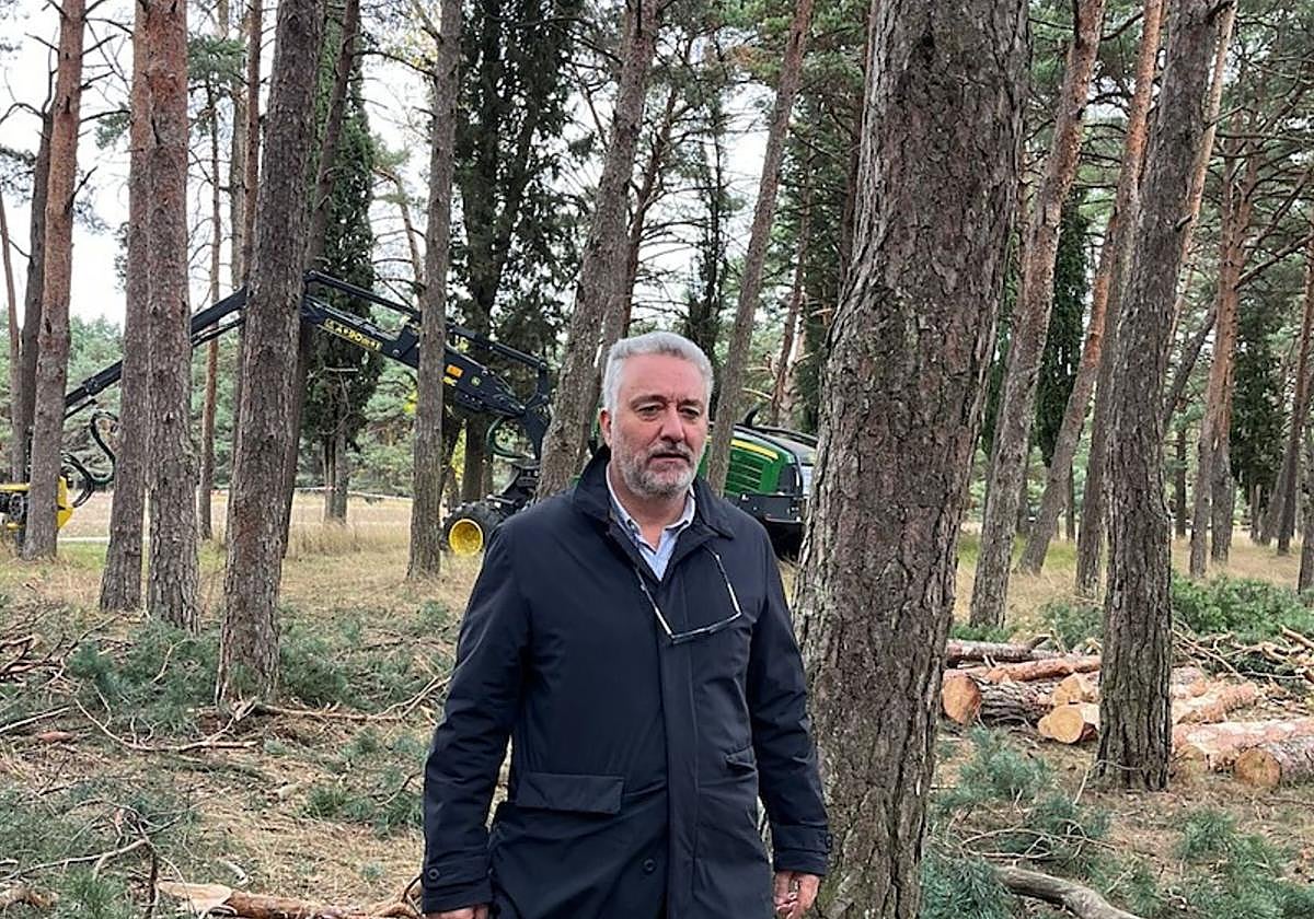 Carlos Niño, concejal de Medio Ambiente, en Fuentes Blancas durante los trabajos de clareos.