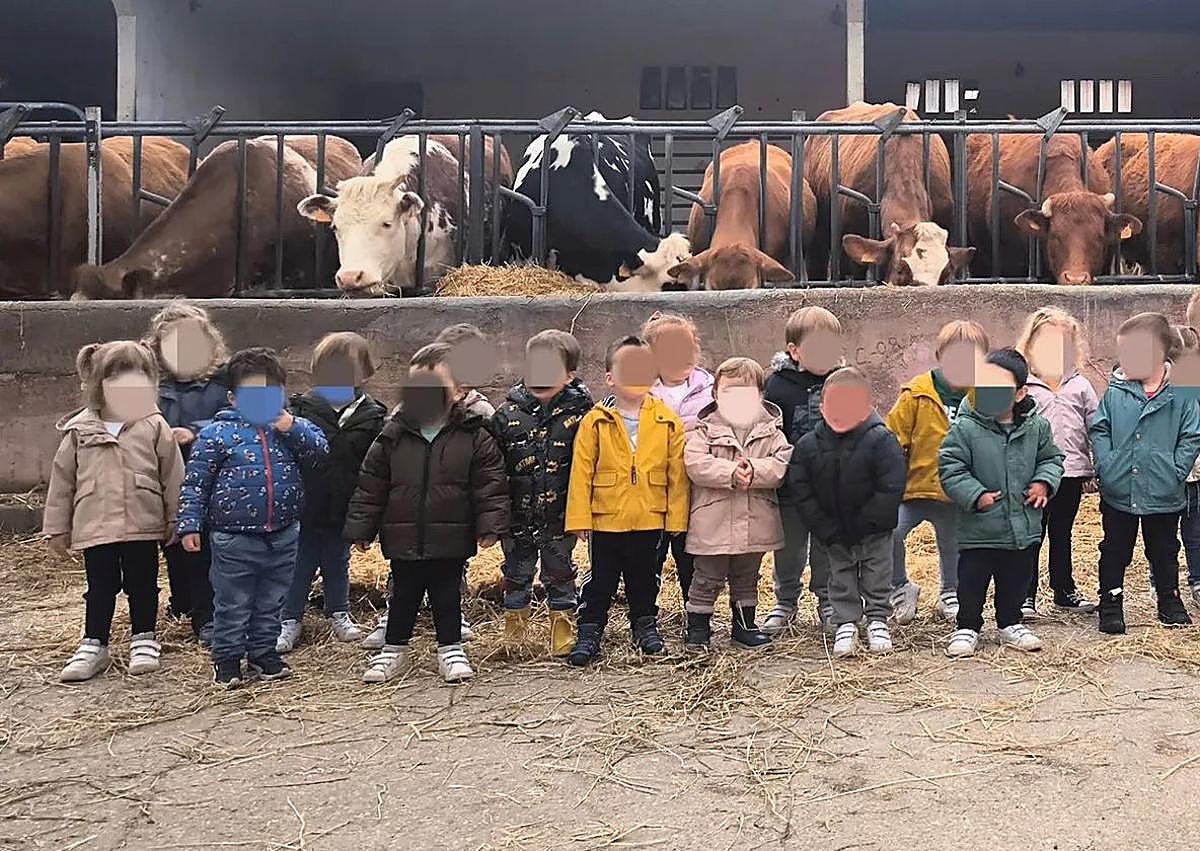 Imagen secundaria 1 - Escuela Infantil Cuco: 25 años educando con amor, respeto y alegría en Burgos