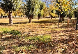 Parque de El Parral de propiedad estatal.