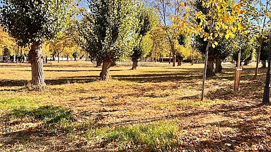 El Ayuntamiento de Burgos valida los resultados de la consulta sobre la Jira del Curpillos y estudiará medidas