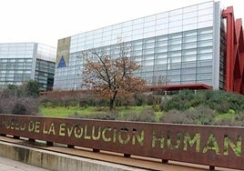 El Museo de la Evolución Humana albergará la muestra.