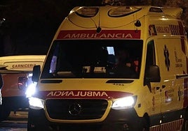 Sacyl ha enviado una ambulancia para atender al agente intoxicado en Villadiego.