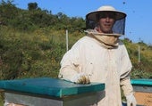 La mejor miel de bosque de España se recolecta en Burgos