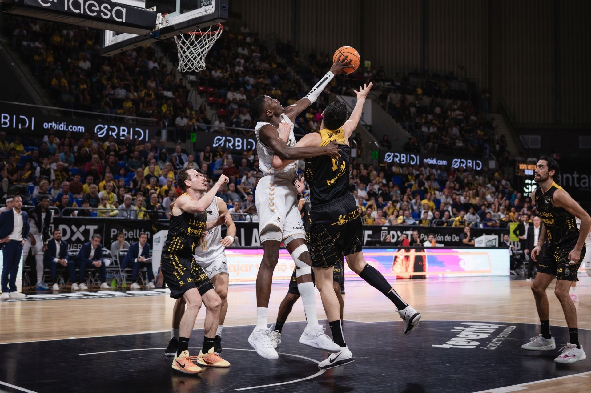 El partido entre La Laguna Tenerife y el San Pablo Burgos, en imágenes