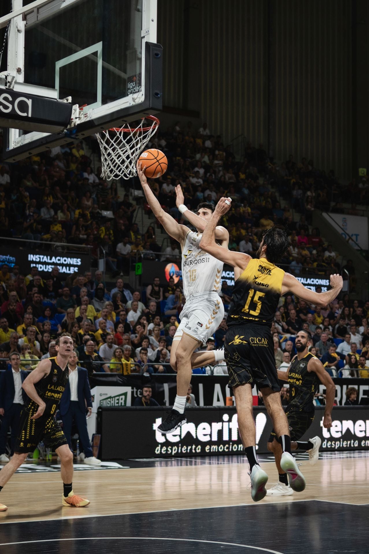 El partido entre La Laguna Tenerife y el San Pablo Burgos, en imágenes