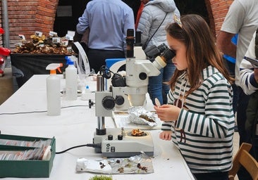 Miranda de Ebro se rindió, un año más, al hechizo de la Micomanía