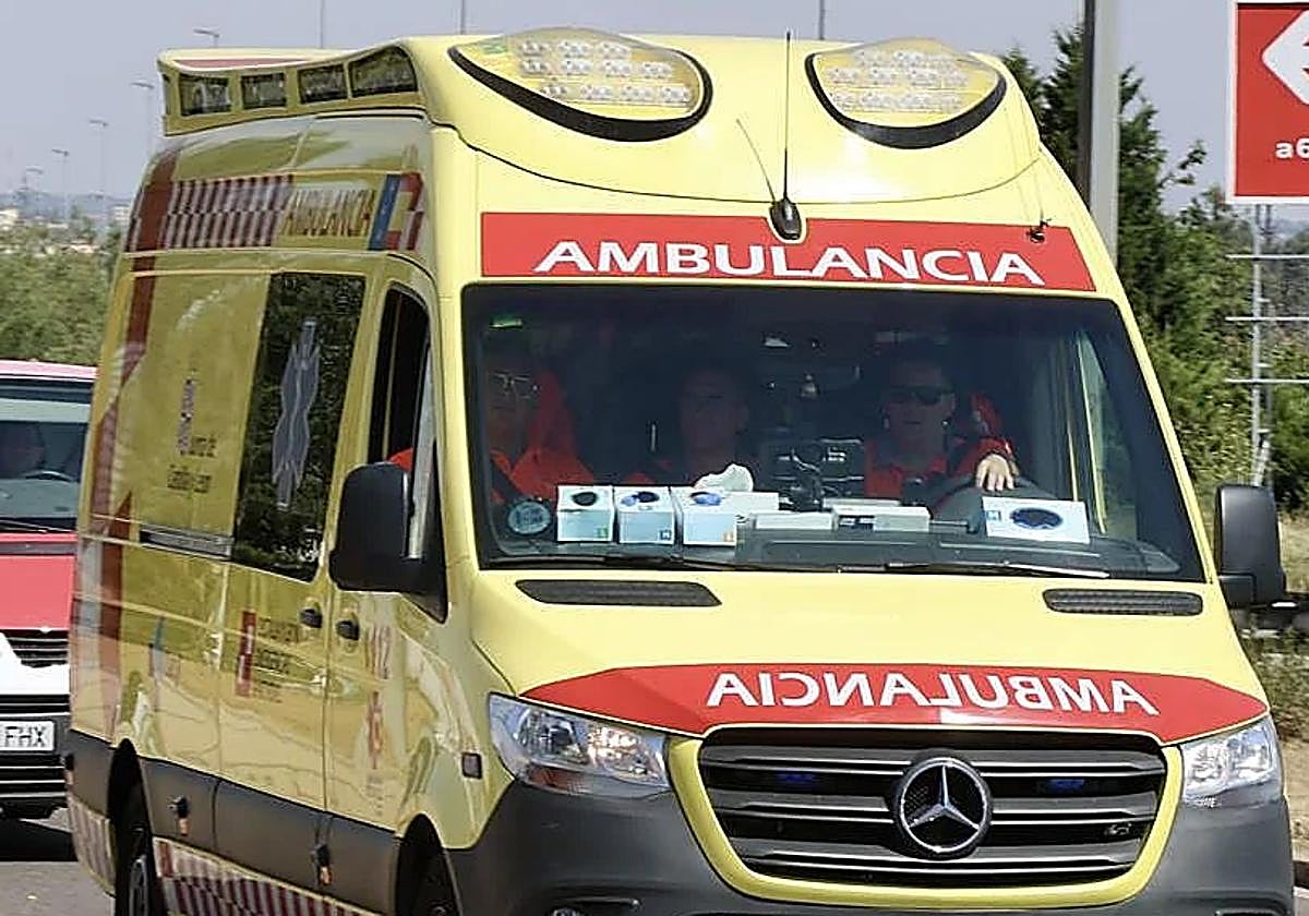 Una ambulancia se ha trasladado al lugar del accidente en la A-1.