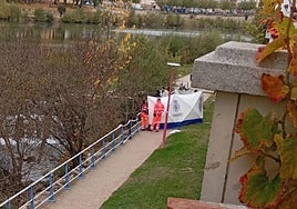 La Policía Nacional y los servicios de emergencias trabajan en el lugar donde ha aparecido el cadáver.