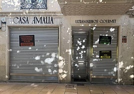 Fachada del local de Burgos, Casa Amalia