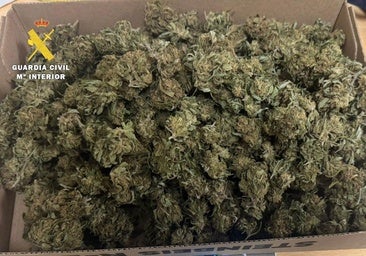 Pillado in fraganti en el norte de Burgos mientras transportaba marihuana en su vehículo