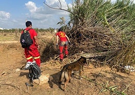 Unidad Canina de Salvamento.